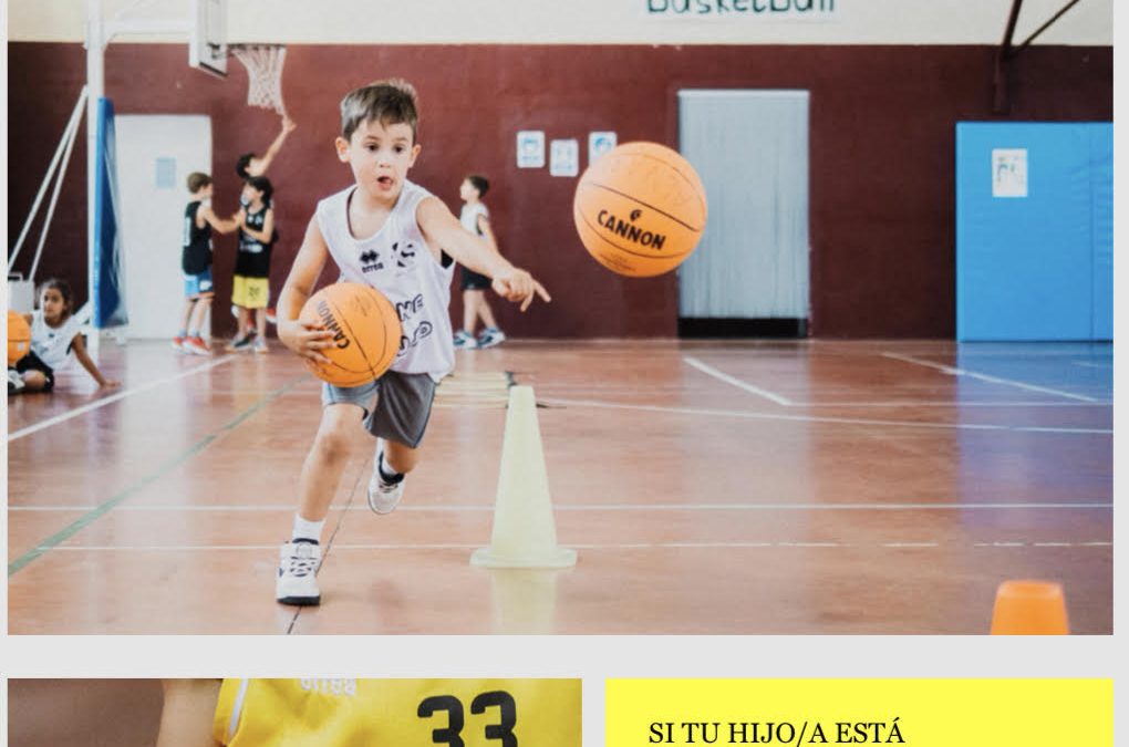 Basket Santa Mónica
